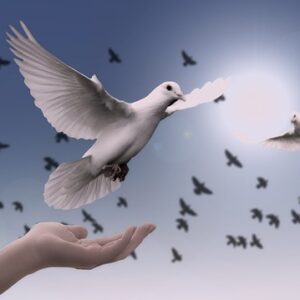 Otley Spiritualist Church - Open Circle Psychic Development Doves Flying with Blue Sky