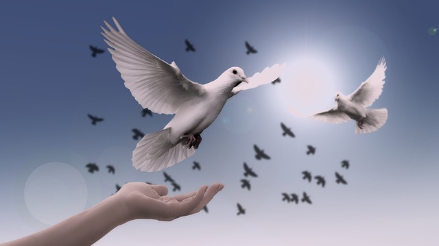 Otley Spiritualist Church - Open Circle Psychic Development Doves Flying with Blue Sky